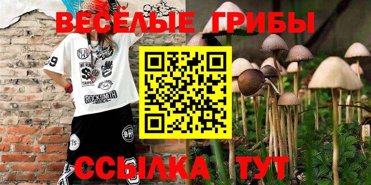 Галлюциногенные грибы мухоморы  Вход с VPN  Гулькевичи 