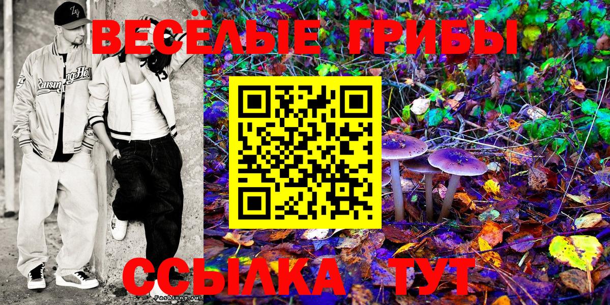 Галлюциногенные грибы мицелий Гулькевичи